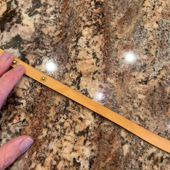 Louis Vuitton Florentine Belt Bag - Picture 15 of 16